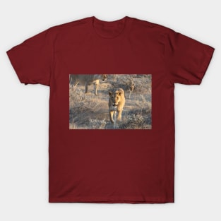 Namibia. Etosha National Park. Lioness. T-Shirt